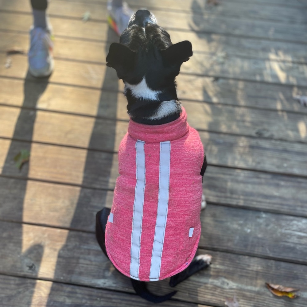 Pink fleece dog vest with reflective stripes down the back
